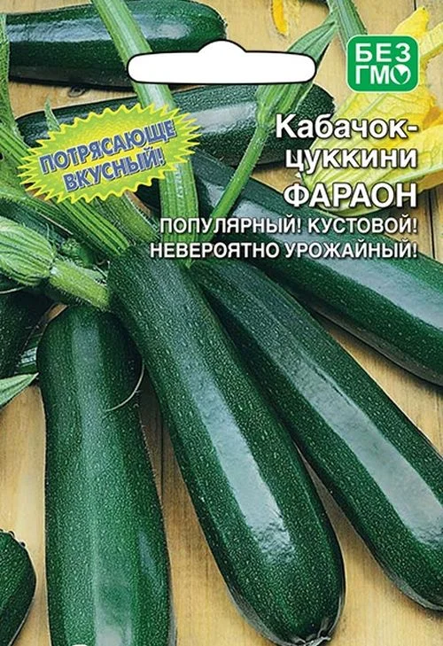 Кабачок фараон фото